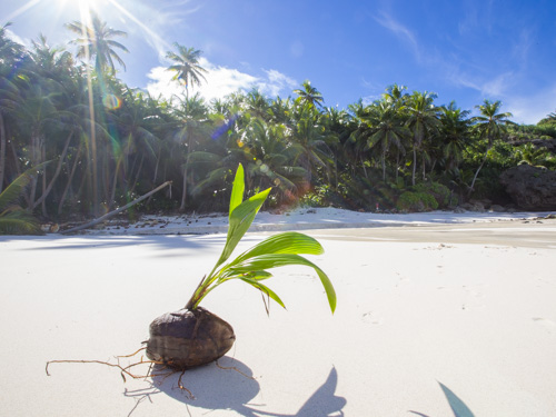 christmas island swell lodge photo tour example 20